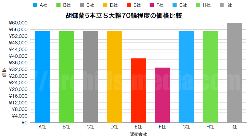 胡蝶蘭5本立ちの値段相場は？大輪70輪白の価格を通販9社で比較！