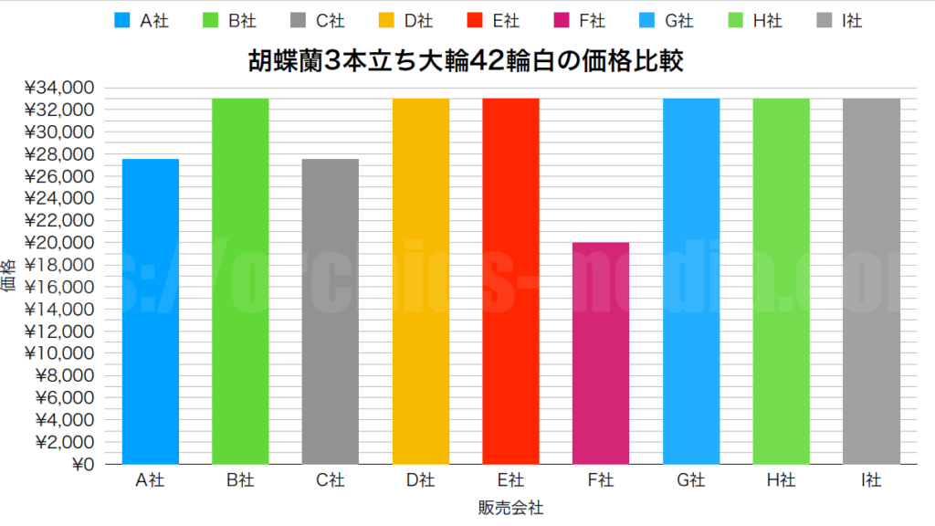 胡蝶蘭3本立ちの値段相場は？大輪42輪白の価格を通販9社で比較！